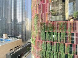 Icon (D2), Apartment #574401211